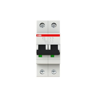 2CDS252001R0105 ABB S202-B10