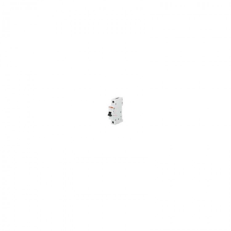 2CCF019642R0001 ABB - s804pv-sd125