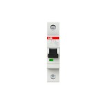 2CDS251001R0254 ABB S201-C25