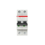 2CDS272001R0404 ABB S202M-C40