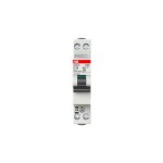 2CDS242280R0164 ABB S202CL-C16
