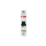 2CDS251001R0204 ABB S201-C20