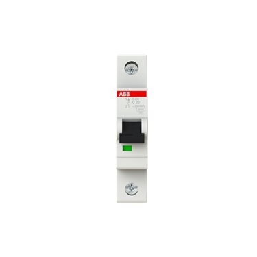 2CDS251001R0204 ABB S201-C20