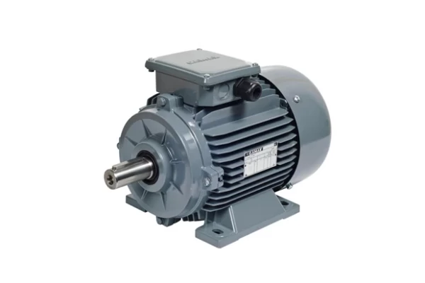 SACEMI GAMAR -  XS 90L A2 Motor