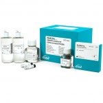 SCIEX -  390953 SDS-MW Analysis Assay