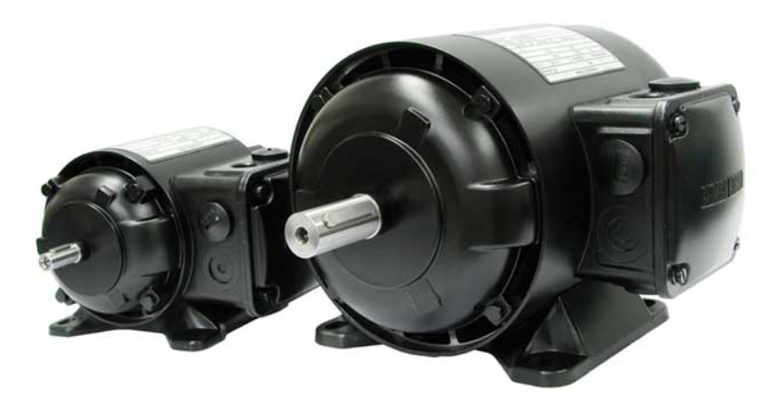 GEORGII KOBOLD - 10 0542 0111 - KOD 548-1C MB/G/S2/S18/S19 - THREE-PHASE MOTOR