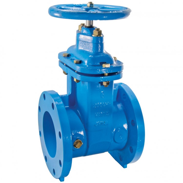 WATTS - 4” STAINLESS STEEL GATE VALVE
