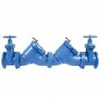 WATTS - 6” BFP – (Including 2 valves and 1 strainer from the 709 series)