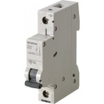 Siemens - 40A SINGLE PHASE FUSE C TYPE
