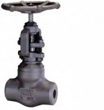 Bonney Forge - GLOBE WCB