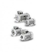 Moll-Motor - Y3HEST-100LBIB5S - Nr.:130068522602