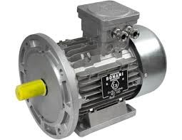 Bonani - TR63B4 motor (VENTILATION 230V)