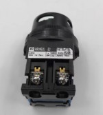 Fuji Electric - AR30G2L-20D4G